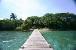 Coral Quays Fish & Dive Resort - Entrance