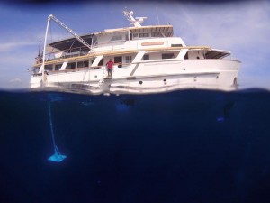 MV Golden Dawn