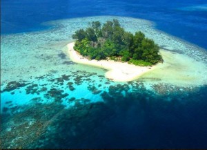 Gizo Hotel - Coral Reef