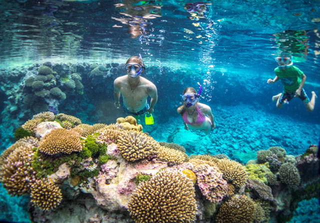 Buccaneer Adventures Niue Dive