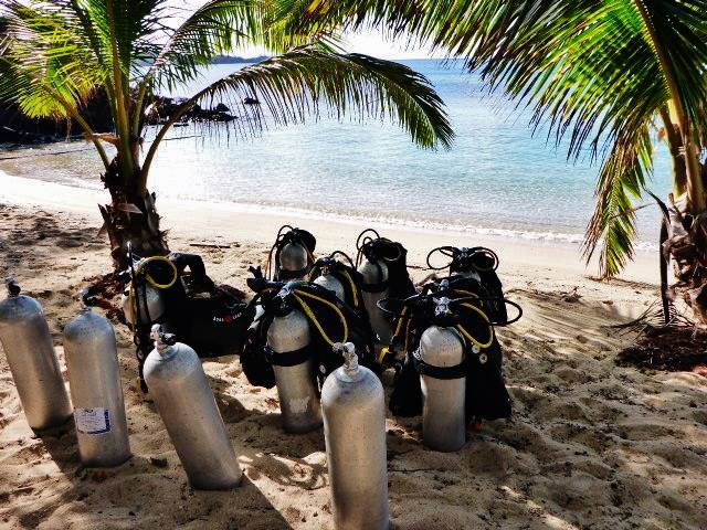 Barefoot Manta Dive