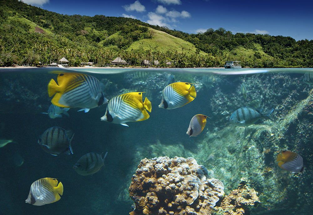 Beqa Lagoon