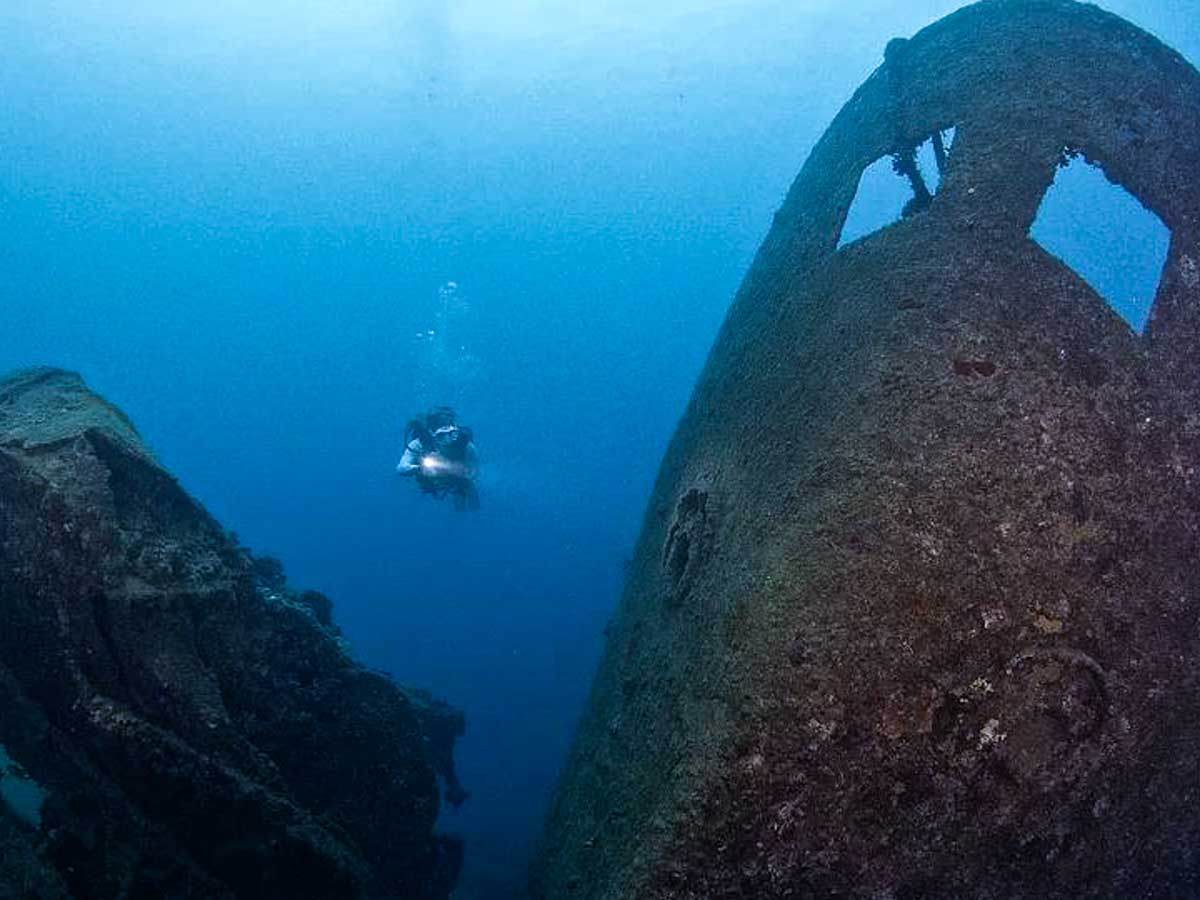 Pacific Dive